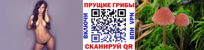 Галлюциногенные грибы MAGIC MUSHROOMS  Щёлкино 